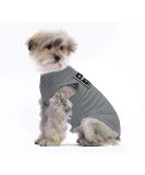 Shop Premium Dog Clothing for Small Dogs - Soft Cotton T-Shirts Breathable Dog Sunscreen Costumes in XXL Gray - Buy Online on GoSupps.com