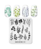 Alexnailart Flower Print Stamping Plates Set (NA015) - Manicure Template & Nail Art Tools - Buy Online on GoSupps.com