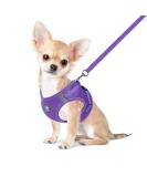 Femax Dog Harness with Leash for Small & Medium Dogs/Cats - Soft Mesh Adjustable No Pull Reflective Vest for Chihuahuas & Puppies (Chest 47-50cm) - Purple - Buy Online on GoSupps.com