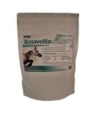 Riaflex Equine Boswellia Serrata 65% | High Potency Joint & Mobility Support | 50% Stronger | 150g - Buy Online on GoSupps.com