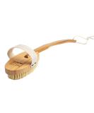 Dry Body Brush for Anti-Cellulite, Skin Smoothing, and Firming | Improve Blood Circulation Tone and Exfoliate Skin | Ideal for Scalp, Skin, and Muscles - Buy Online on GoSupps.com