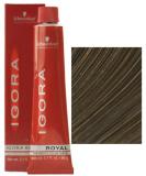 Schwarzkopf Igora Royal Colorist Color Creme 6-4 Dark Beige Blonde - International Shipping Available - Buy Online on GoSupps.com