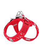 WINHYEPET Truelove Soft Mesh Reflective Dog Harness for Extra Small and Small Dogs - Breathable & Easy Walk Vest Harness | TLH30131 M Poinsettia - Buy Online on GoSupps.com
