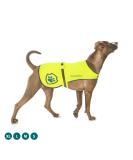 SlipDoctors Premium Dog Reflective Vest Neon High-Visibility Safety | Walking Jogging Training 7kg - 59kg (XL) - Buy Online on GoSupps.com