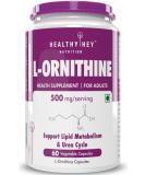 Trexgenic L-Ornithine 500mg - Stable Urea Detox & Liver Support | 60 Veg Capsules for Protein Metabolism - Buy Online on GoSupps.com