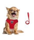 Buy Femax Dog Harness & Linen Set | Soft Mesh Padded Dishes for Puppies & Cats | Adjustable Reflective Breastware for Walking & Training (30-34 cm Red) - Buy Online on GoSupps.com