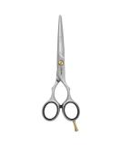 JAGUAR Pre-Style Ergo 13.97 cm Scissor - Professional Hair Cutting Tool - Buy Online on GoSupps.com
