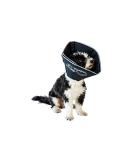 All Four Paws Comfy Cone Pet Collar - XL Black | Post-Surgery Recovery Dog Collar | Comfortable Protective Cone for Pets - Buy Online on GoSupps.com