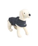 ALL FOR PAWS Clam Paws Calm Paws Anti Anxiety Dog Vest Small 4.096 kg - Buy Online on GoSupps.com