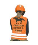 Shires Equi-Flector Safety Vest - Orange Orange M - Buy Online on GoSupps.com