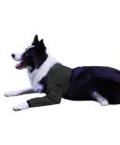 Buy XS Black Dog Recovery Suit - Cone Collar Alternative Abrasion-Resistant & Waterproof | Prevent Licking & Infection - Ideal for Pet Wounds - Buy Online on GoSupps.com