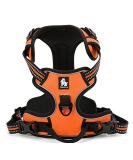 Winhyepet TrueLove No-Pull Dog Harness - Reflective Adjustable with Pet Dishes & Linen Clips | TLH5651 L Orange for Small Medium & Large Dogs - Buy Online on GoSupps.com