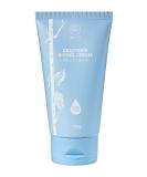 CRAZY SKIN S-Cool Hydrating Facial Cream 100g - Intensive Repairing Birch Juice Moisturizer for Sensitive Skin | Korean Skincare - Buy Online on GoSupps.com