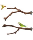 Natural Wood Bird Seat Rods Set - 2 Grapewood Pencil Rods for Budgies & Canaries | Premium Bird Cage Accessories - Buy Online on GoSupps.com
