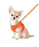 Femax Soft Mesh Dog Harness & Leash for Small/Medium Dogs & Cats - Adjustable Reflective No Pull Vest for Puppies - Orange (Chest 30-34cm) - Buy Online on GoSupps.com