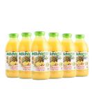 Mikhuna Pineapple Fruit Pulp Pack of 6-475ml per Unit for Juice Smoothies Desserts Ice Cream Cocktails Sauces - Buy Online on GoSupps.com