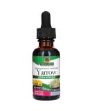 Nature's Answer Yarrow Flowers Dried Herb 1oz | Organic Alcohol | Anti-Inflammatory & Digestive Support - Buy Online on GoSupps.com