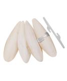 Bohoman 4 pieces sepia shell parrots birds chewing toys with 2 pieces metal holder ink fish sepia bones for parrot birds reptiles snails 12-14cm - Buy Online on GoSupps.com