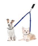 Nasjac Double Dog Leash - No Tangling 360 Rotatable Adjustable Bungee Leash for Small Medium & Large Dogs - Light Blue Perfect for Running & Training - Buy Online on GoSupps.com