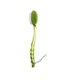 Long Handled Shower Brush - Body Bath Back Brush for Men & Women | Clean Helper Tool (Green) - Buy Online on GoSupps.com