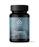 Edubily Nutrition Zink Zink complex with 3-way formula made of zinc glycinate zinc citrate and zinc gluconate with essential amino acids (90 capsules) 42 g (1 Pack) - Buy Online on GoSupps.com