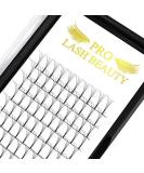 Shop Premium 3D 4D 5D 6D Eyelash Extensions - Finished Eyelash Compartments | 0.07 & 0.10 Volume Options | 5D-C-07 9mm - Buy Online on GoSupps.com