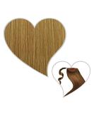 GLOBAL EXTEND Ponytail & Braid Extensions | Real Hair 50 cm Chai-Blonde for International Shipping - Buy Online on GoSupps.com