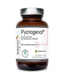 Pycnogenol 100mg - Vegan Extract from French Maritime Pine Bark - 30 Vegetable Capsules - No Magnesium Stearate - International Shipping Available - Buy Online on GoSupps.com
