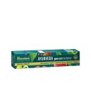 Ayurveda Gum Care Toothpaste 150G | Reduces Gum Bleeding & Fights Bad Breath | 13 Ayurvedic Herbs for Healthy Gums - International Shipping Available - Buy Online on GoSupps.com