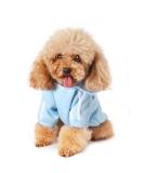 Warm Dog Clothes for Small Dogs | Chihuahua Hoodies & Sweaters | XS Light Blue Puppy Coat - Buy Online on GoSupps.com