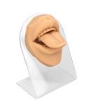 Realistic Tongue Model for Research | Lifelike Tongue Mouth Model with Acrylic Holder - Skin Color - Buy Online on GoSupps.com