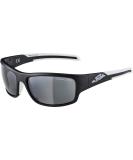 ALPINA TESTIDO - Mirrored Shatterproof Sports & Cycling Glasses for Adults | 100% UV Protection | Black-White Matt - Buy Online on GoSupps.com