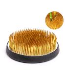 Flower Frog Round Holder for Arrangements 3.3 Inch - Buy Online on GoSupps.com
