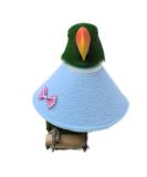 NashaFeiLi Pet Collar Elizabethan Bird Collar Parrot Recovery Collar for Sun Conures Macaws Love Birds (L Blue) L Blue - Buy Online on GoSupps.com