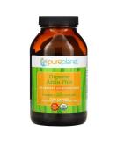 Buy Pure Planet Amla Plus 500mg - 500 Tablets for Enhanced Wellness - Buy Online on GoSupps.com