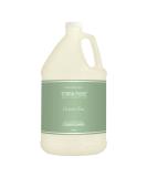 Terra Pure Green Tea Hotel Conditioner | 1 Gallon | For Hospitality & Vacation Rentals to Refill Dispensers | (Single Gallon) - Buy Online on GoSupps.com
