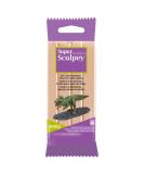 Sculpey Super Sculpting Compound 1 lb. Box - Beige | Sculpting Clay for Artists - Buy Online on GoSupps.com