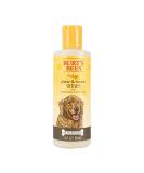 Burt's Bees Paw & Nose Lotion for Dogs - Rosemary & Olive Oil - 4 fl oz - Buy Online on GoSupps.com