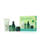 Innisfree Green Tea Seed Intensive Hydrating Serum Set - Hydration Heroes - Buy Online on GoSupps.com