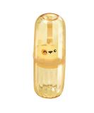 Portable Transparent Yellow Toothbrush Holder & Toothpaste Storage Box for Travel | Ideal for Couples & Students - Buy Online on GoSupps.com
