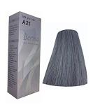 Buy Berina Hair Color Cream A21 - Light Gray Permanent Dye | International Shipping Available - Buy Online on GoSupps.com