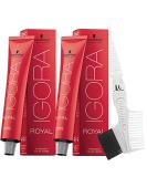 Schwarzkopf Igora Royal 8-00 Light Blonde Natural Extra Permanent Hair Color Bundle with M Hair Designs Tint Brush/Comb - International Shipping Available - Buy Online on GoSupps.com