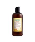 Just Nutritive Normal Hair Shampoo | Best Shampoo for Normal Hair | Fresh & Healthy Hair | International Shipping Available - Buy Online on GoSupps.com
