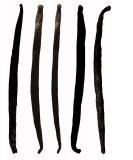 Royal Brand Grade A Vanilla Bourbon Madagascar Pods - 5 Pods, 15-20cm Long - Buy Online on GoSupps.com