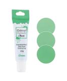Colour Splash Food Colouring Gel Tube Edible Ingredients Highly Concentrated Gels Easy to Use Squeezy Tubes Transform Plain Cakes Into Bright Eye-Catching Creations - Green 25g 25 g (Pack of 1) Green - Buy Online on GoSupps.com