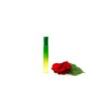 Buy Natural Organic Perfume Oil 'Arabian Magic' - Vegan Long Lasting Chemical-Free Patchouli & Sandalwood - 10ml - Buy Online on GoSupps.com