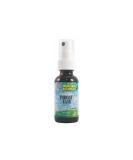 Throat-Ease Glycerite Spray - 0.02 lb | Soothing Throat Relief | International Shipping Available - Buy Online on GoSupps.com
