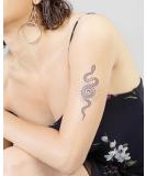 Inkbox Semi-Permanent Tattoo - Serepentina Design 6 x 3 in - Water-Resistant & Long Lasting - Lasts 1-2 Weeks - Buy Online on GoSupps.com