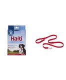 Company of Animals: Halti Headcollar & Double Ended Training Lead Pack suitable for Small Medium and Large dogs - Buy Online on GoSupps.com