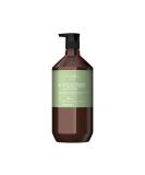 Theorie Green Tea & Bamboo Conditioner - Energizing Formula for Damaged Hair - Color & Keratin Safe - 800mL - Buy Online on GoSupps.com